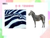 人美版美术一下4.《我们身边的线条》课件+教学设计