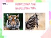 人美版美術(shù)一下12.《可愛的動物》課件+教學(xué)設(shè)計