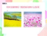 人美版美術(shù)一下16.《用春天的色彩裝扮自己》課件+教學(xué)設(shè)計