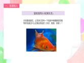 人教版1下美術(shù)《摸一摸畫一畫》課件+教案