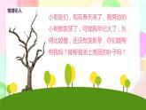 人教版美术二下8.《叶子上的小“血管》课件+教学设计