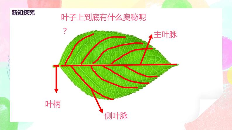 人教版美术二下8.《叶子上的小“血管”》课件第6页