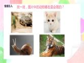 人教版美术二下17.《会爬的玩具》课件+教学设计