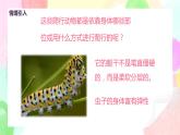 人教版美术二下17.《会爬的玩具》课件+教学设计
