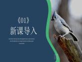 5.快乐的小鸟 一年级下册 岭南版小学美术课件PPT