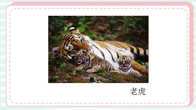 19.我们的动物乐园 一年级下册 岭南版小学美术课件PPT05