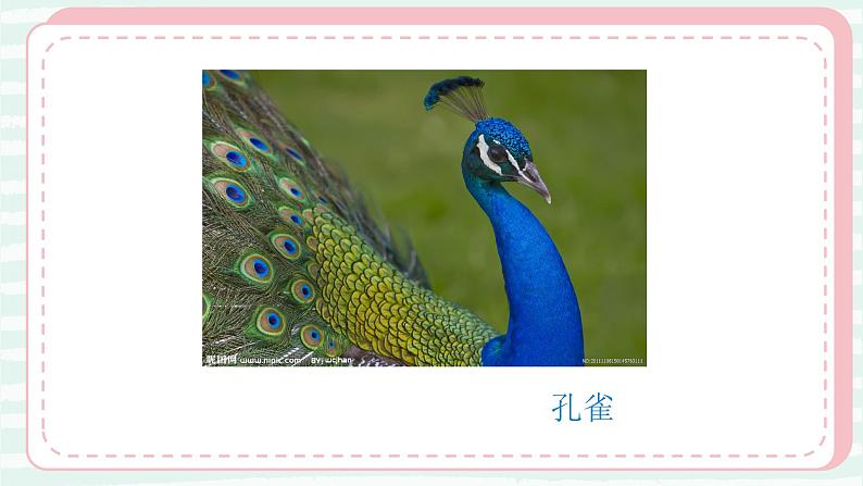 19.我们的动物乐园 一年级下册 岭南版小学美术课件PPT07