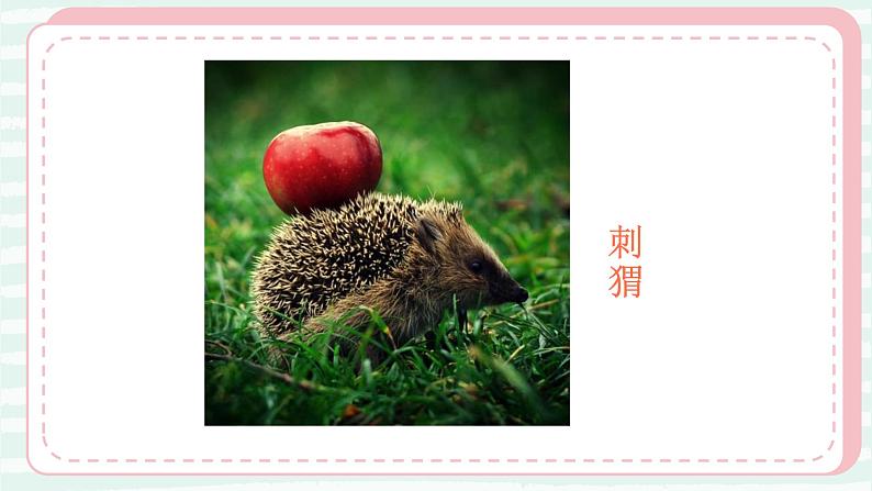 19.我们的动物乐园 一年级下册 岭南版小学美术课件PPT08