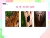 人教版美術(shù)三下11.《動物的花衣裳》課件+教學(xué)設(shè)計