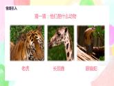 人教版美術(shù)三下11.《動物的花衣裳》課件+教學(xué)設(shè)計