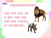 人教版美術(shù)三下19.《保護(hù)珍稀野生動(dòng)物》課件+教學(xué)設(shè)計(jì)