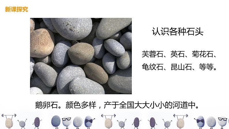 人美版美术三下15. 卵石动物造型 课件+教学设计07