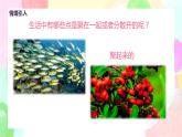 人教版美術(shù)四下1.《聚聚散散》課件+教學(xué)設(shè)計(jì)