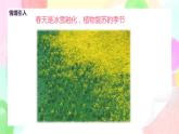 人教版美術(shù)四下11.《走進(jìn)春天》課件+教學(xué)設(shè)計(jì)