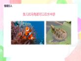 人教版美術(shù)四下17.《會(huì)游的玩具》課件+教學(xué)設(shè)計(jì)+素材