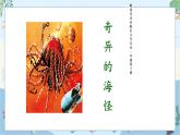 10.奇异的海怪 一年级下册 岭南版小学美术课件PPT