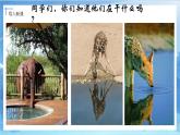 第七課《生命之源——水》課件+教案