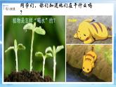 第七課《生命之源——水》課件+教案
