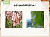 人教版四下美術(shù)  第11課《走進(jìn)春天》（課件+教案）