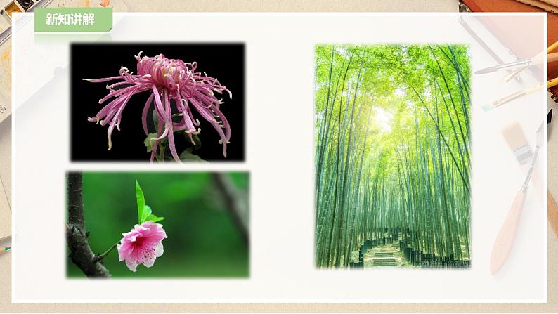 人教版四下美术  第12课《平凡的美》（课件+教案）07