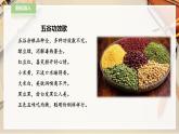 人教版四下美術(shù)  第3課《“五谷”作畫》（課件+教案）