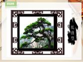 人教版五下美術(shù) 第11課學(xué)畫松樹  （課件+教案）