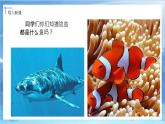 第九課《用彩墨畫(huà)魚(yú)》課件+教案
