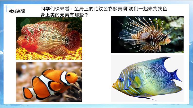 第九课《用彩墨画鱼》课件+教案06