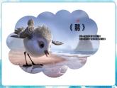 5 《快樂的小鳥》（課件+教案）