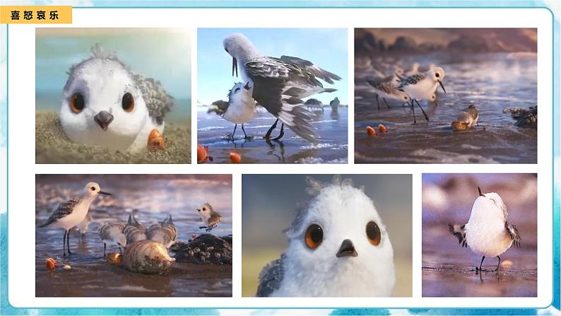 5 《快乐的小鸟》（课件+教案）03
