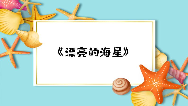 9《海螺和海星》 （课件+教案+素材）02