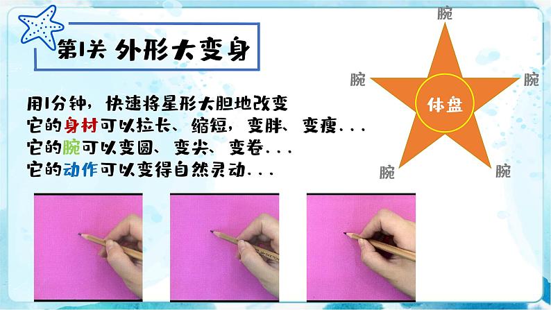 9《海螺和海星》 （课件+教案+素材）04