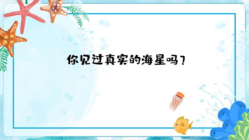 9《海螺和海星》 （课件+教案+素材）05