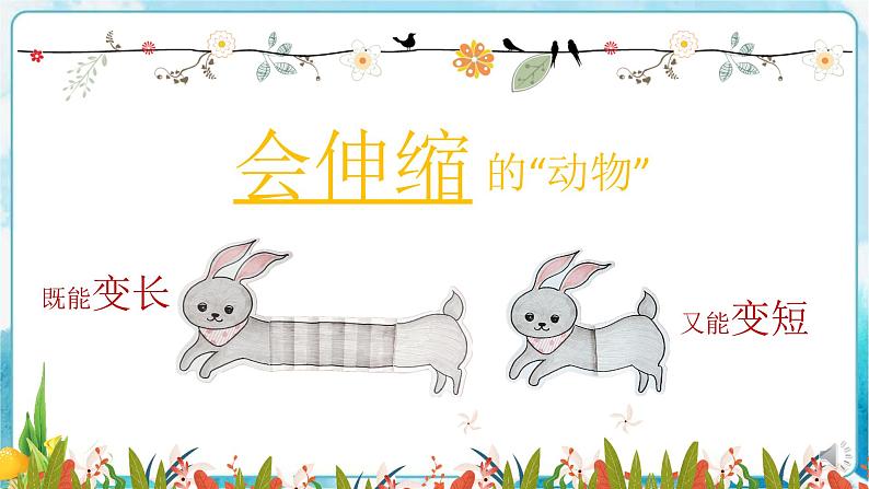 18《会伸缩的“动物”》 （课件+教案）04
