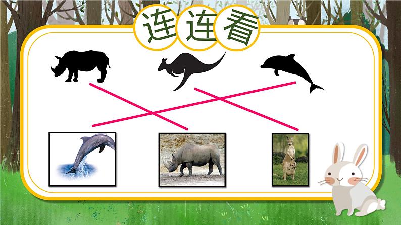 19《我们的动物乐园》 课件第5页