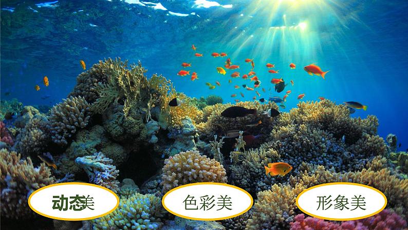 19《我们的动物乐园》 课件第6页