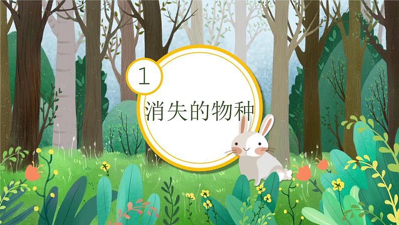 19《我们的动物乐园》 课件第8页