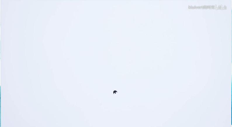 16《冬日的乐趣》 （课件+教案）03