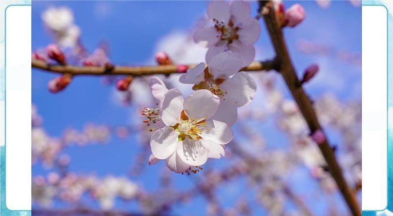 16《冬日的乐趣》 （课件+教案）05