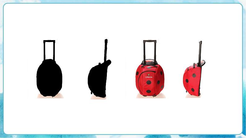 3《从不同角度画物体》课件第4页