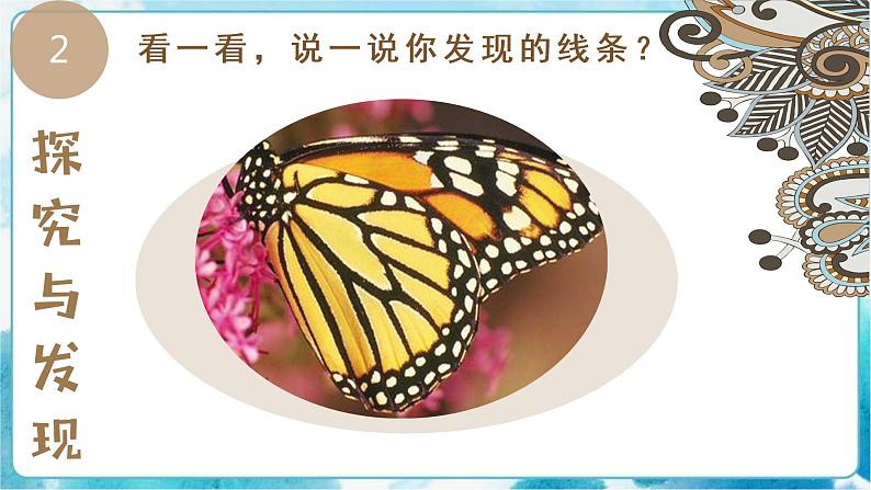 3《美妙多变的线条》（课件+教案+探究单）03