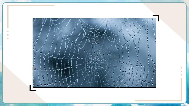 3《美妙多变的线条》（课件+教案+探究单）04