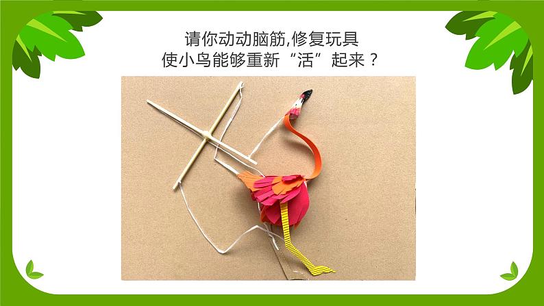 10《会跳舞的鸟》 （课件+教案）02