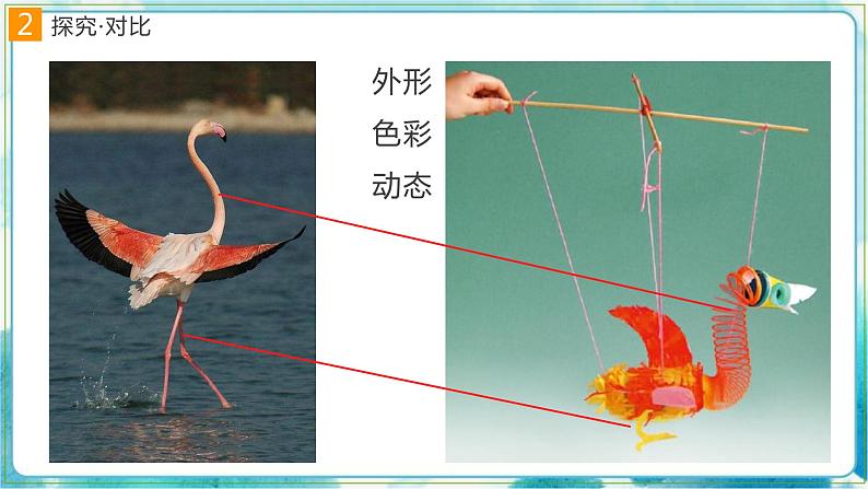 10《会跳舞的鸟》 （课件+教案）08