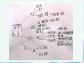 17.《编本小书送母校》 （课件+教案）