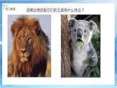 第十課《動(dòng)物的臉》課件+教案