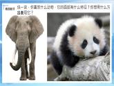 第十課《動(dòng)物的臉》課件+教案