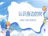第三課《認識身邊的樹》課件+教案