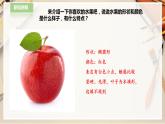 【人教版】一下美術(shù)  第13課《各式各樣的水果》（課件+教案）