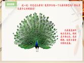 【人教版】二下美術 第七課《美麗的孔雀》（課件+教案）